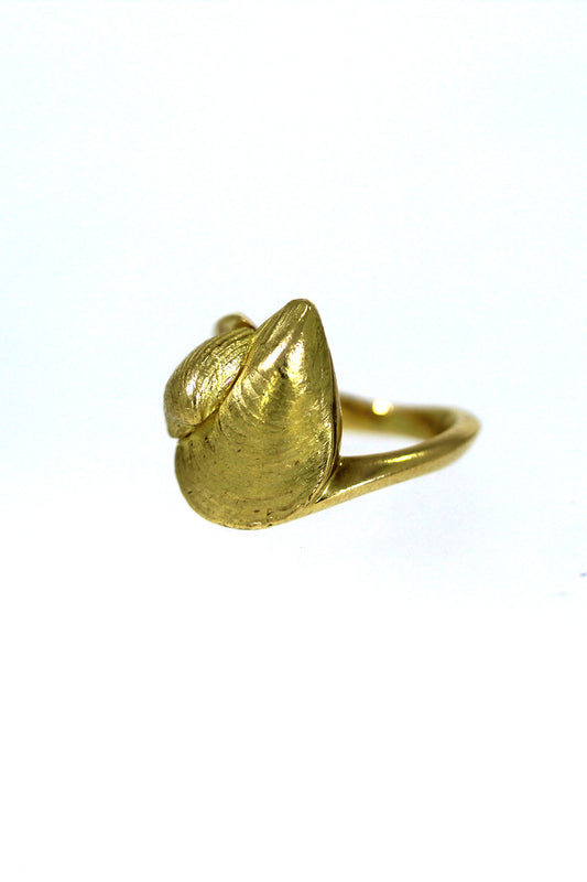 Goldener Ring mit Muschelmotiven